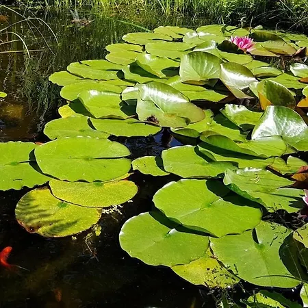 With 3 Bedrooms Сasa de vacaciones