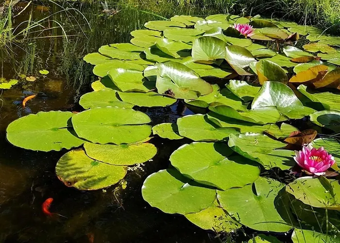 With 3 Bedrooms Сasa de vacaciones