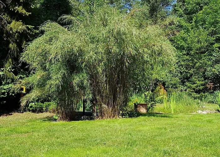 Сasa de vacaciones With 3 Bedrooms Fichtenwalde