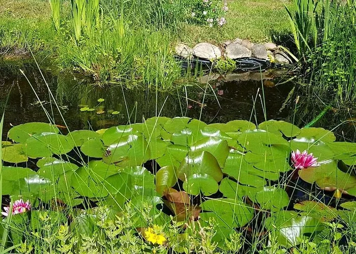 With 3 Bedrooms Fichtenwalde